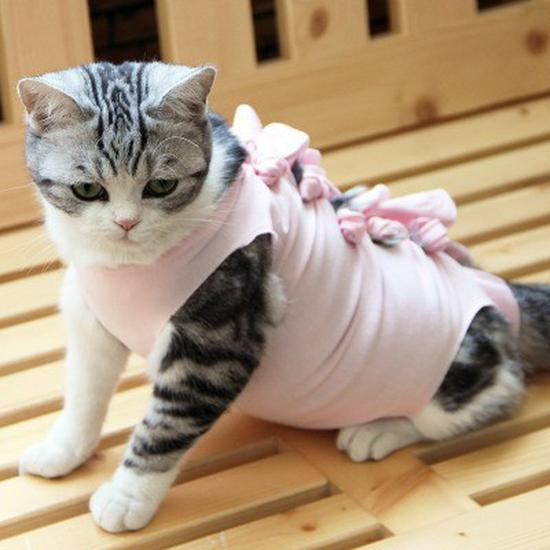 Breathable Cotton Summer Sterilization Suit for Female Cats - Surgical and Weaning Clothes