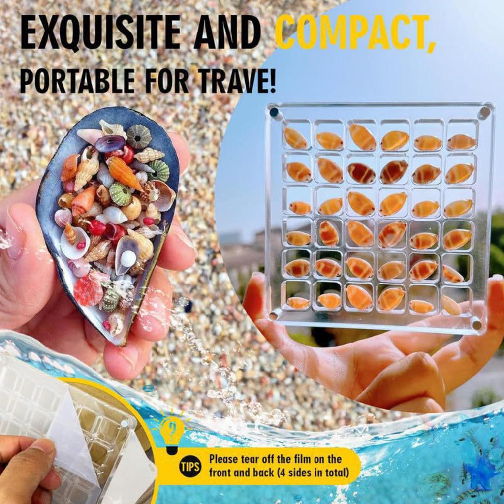 Acrylic  Seashell Display Box Seashell Display Diamond Storage Box Small Craft Organizers Compartment