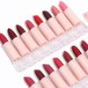 15 Farben Matte Lippenstifte Wasserdicht Langlebig Sexy Roter Lippenstift Make-up Braun Samt Pigmente Lippentönung Profissional Cosmetic