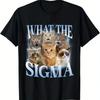 Cat Funny Printed Summer Short Sleeve T Shirt Women Graphic Comfortable Soft Casual Tee Shirts Humor Daily Wear