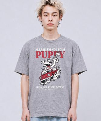 QT8 GARMENTS Lb Bad Puppy Washed Tee (Grey)