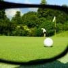 BUNNY WALK Golf Sunglasses Clear Brown GREEN FOCUS BW-021 BW-0213G