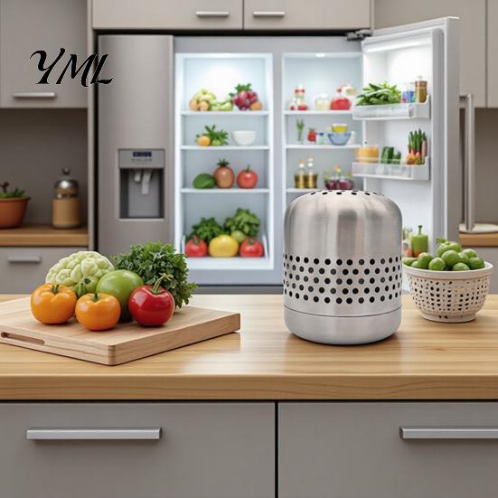 Refrigerator Odor Eliminator Stainless Steel Deodorizer, Long-Lasting Eliminator, Nano-Catalytic Food Freshness Keeper Removal Tool for Kitchen