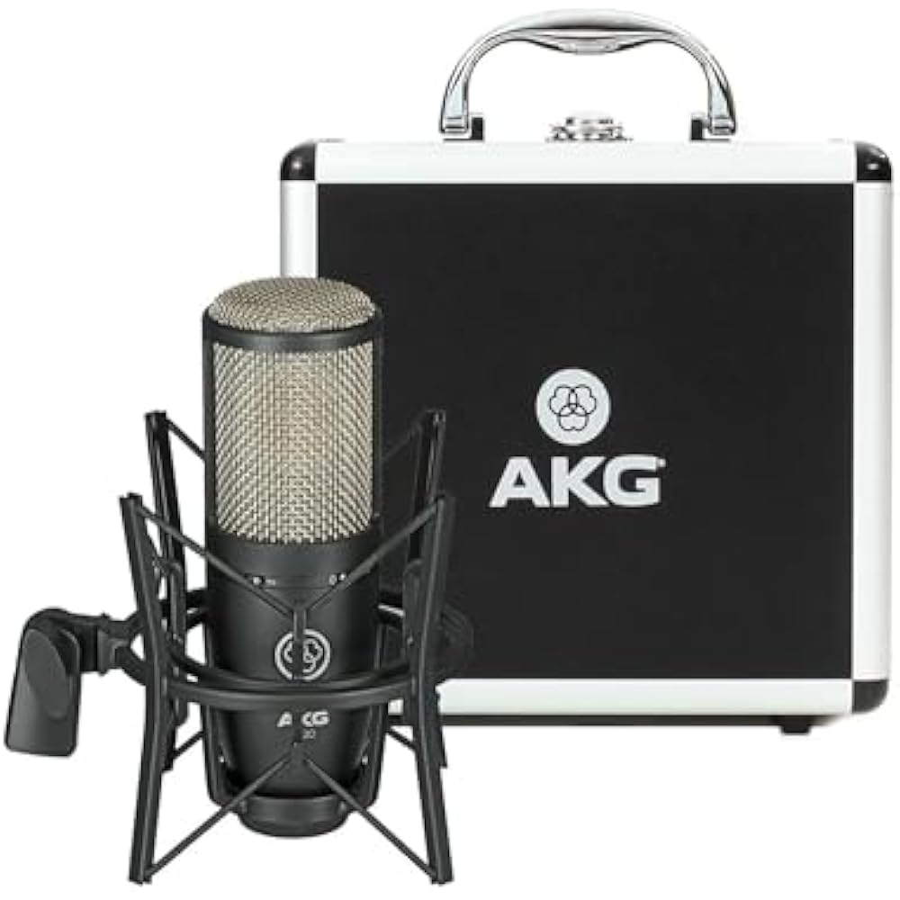 AKG (Arker Game) P220 Project Studio Line [Ideal for Vocal/piano/wind Instrument Recording, Durab...