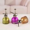 Retro Embossed Glass Spray Bottle – Small Pressure Watering Can for Garden & Home Flowers