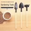 Three-Piece Mini Gardening Tool Set: Succulent Shovel, Rake, Trowel for Planting & Landscaping