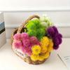 Simulated Flower Single Dandelion Plastic Flower European Style Scallion Ball Home Plant Ornament Flower Arrangement Garden