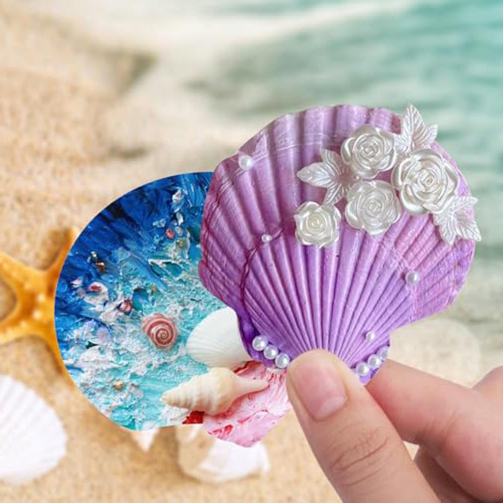 2''-3'' DIY Craft Shells Creative Decoration Ideas For Parties Beach Decor Shells Creative DIY Projects Natural And Safe Shells