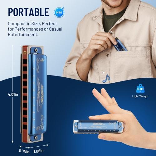 East Top 12-Piece Blues Harp Set, 10 Holes, 20 Tones, Brass Cover, Canvas Case, and Cleaning Cloth, for Beginners, Professionals, and Study/Practice,