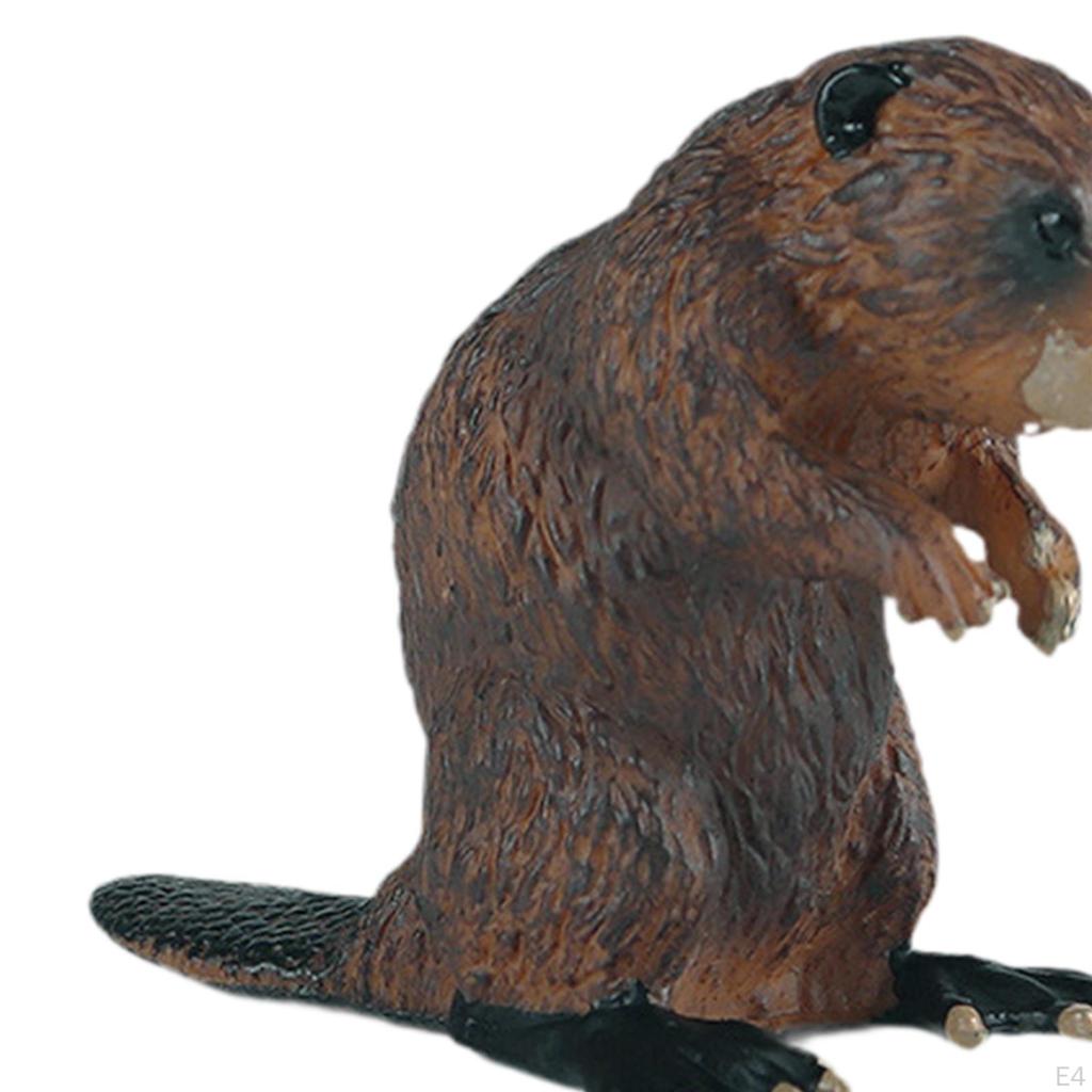 Animal Figure, Ornament, Collectible, Birthday Gift, Statue, Simulation, Animal,