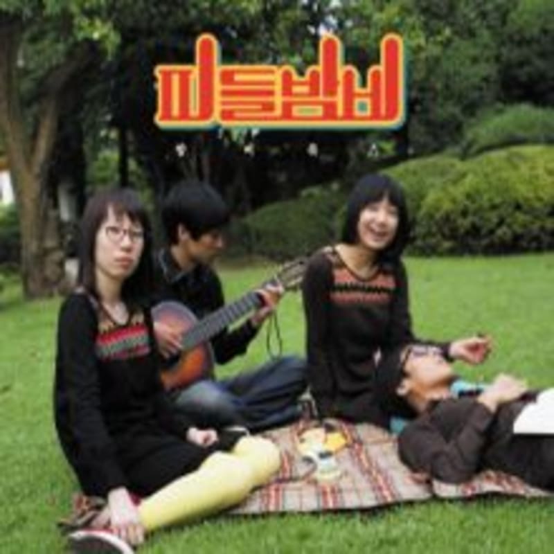 

fiddle bambi - bambi rocks