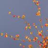 Yellow Flower Fake Flowers Plant Decorative Simulation Tree Branch  Home Decor