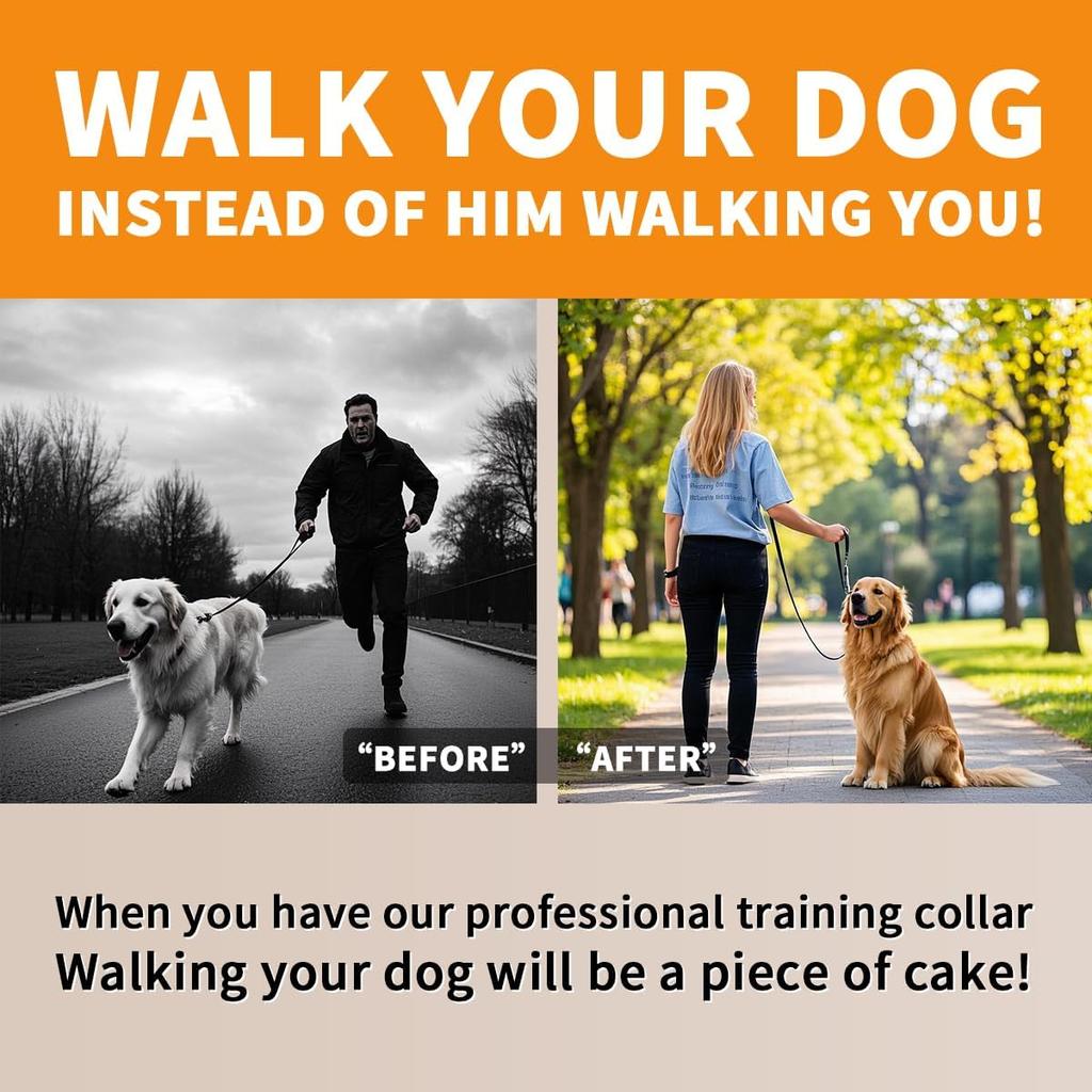 Luxury Flat Chain Design Professional Training Chain Collar, Stainless Steel Dog Training Collar, Professional Flat Chain Design, Mirror Polished