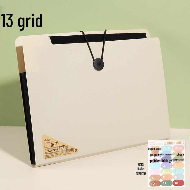 

13-Grid High-Grade Black Document Organizer Bag