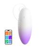 Lai Le Little Whale Multi-Frequency Wireless Remote Control Vibrator for Internal Female Use.