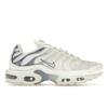 Жіночі кросівки Air Max Plus Ashen Slate White Summit-White Light-Armory-Blue DZ3671-104