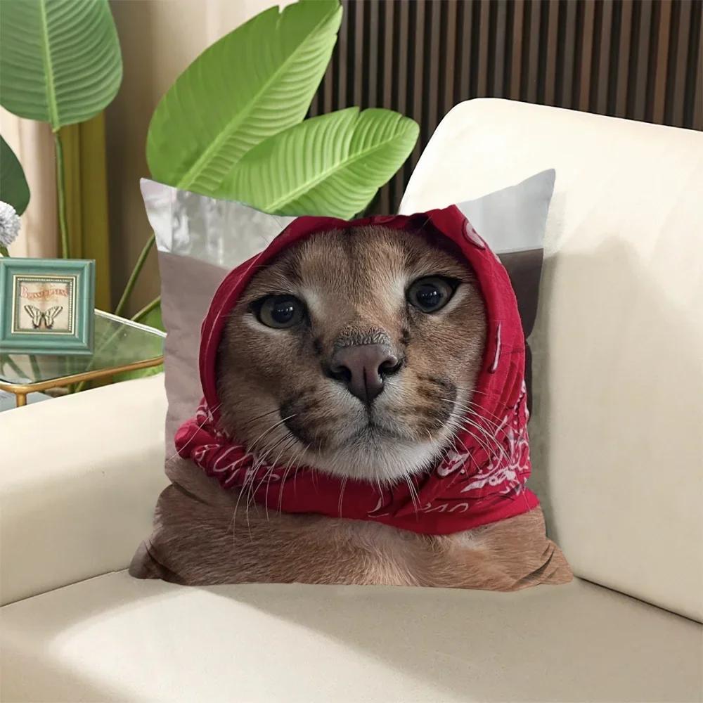 

Наволочки Каракал × Набивные подушки Подушка для сна Наволочка Декоративные подушки Наволочки для дивана × Элегантная комната Домашний текстиль 66x66cm жёлтый