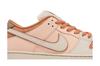 Men's Sneakers Nike SB Dunk Low Trocadéro Gardens
