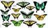 Decorative Stickers for Children - Green Butterflies