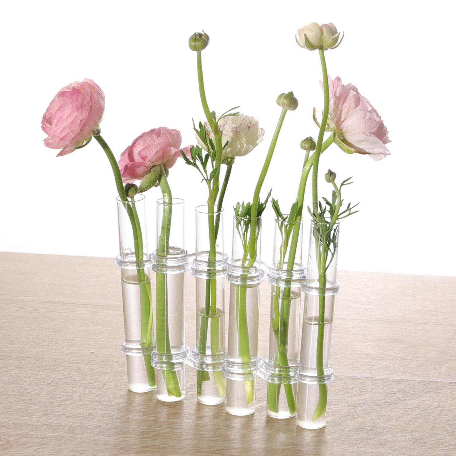 Plant Terrarium,Desktop Propagation ,Planter Glass Vase for Hydroponics Plants office and home and garden Decor