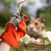 Anti-Biss-Handschuhe, saugfähig, warm halten, Haustierpflegehandschuh, kleine Tiere, Bonding-Handschuh