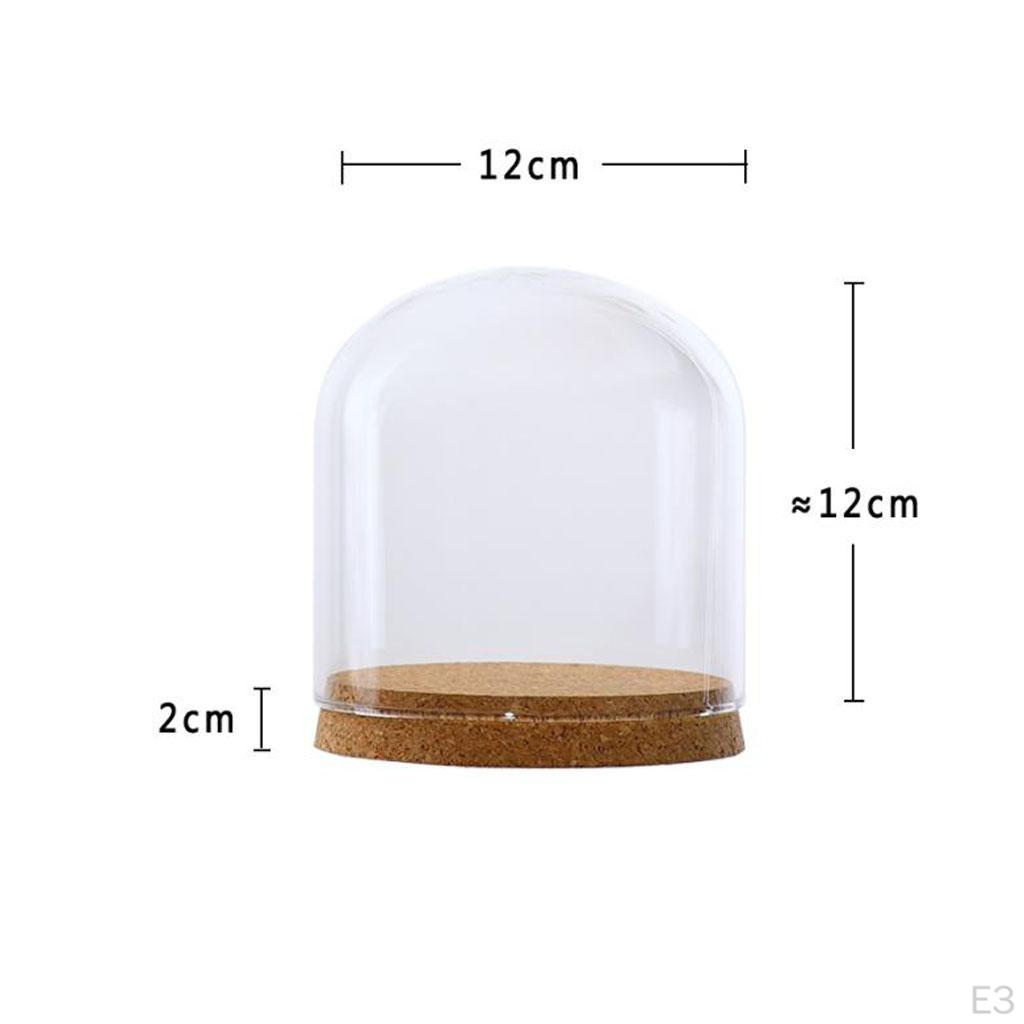 Cloche Bell Jar with Wooden Cork Base Wedding Christmas