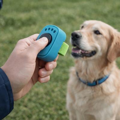 Professioneller Hund Daumen Trainings-Clicker Leichtes Mini-Fingerring Haustier Clicker Trainer Kein Akku Interaktiver Sound-Clicker