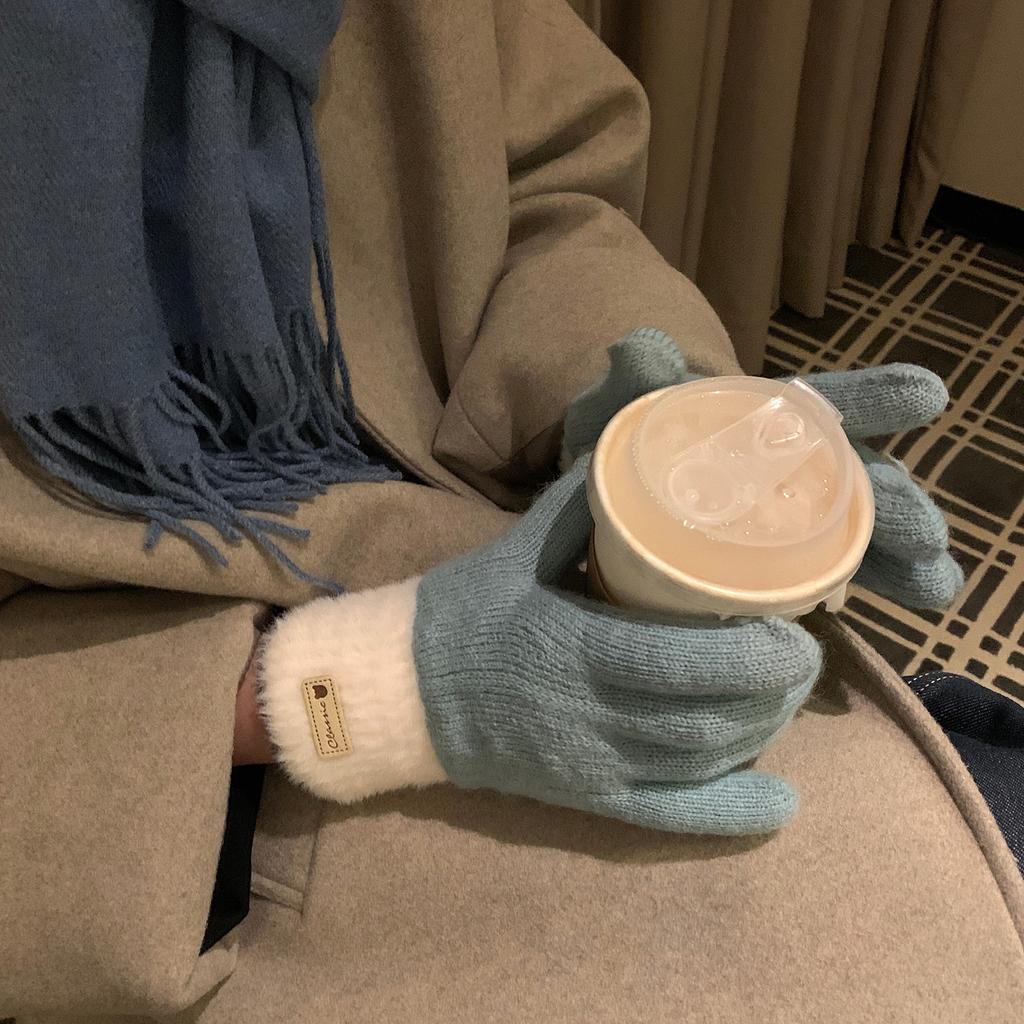 Jintai Korean Version of Winter Thickened Color Blocking Gloves Warm Plush Double Layer Touch Screen Split Knitted Female Cycling Student