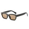 2023 Trendy European & American Small Frame Street Style Sunglasses