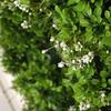 Green Leaf Wreath Decorative Door Wreath Artificial Spring Wreath Home Decoration 40x40x10cm