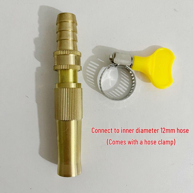 High-Pressure Pure Copper Car Wash & Garden Spray Gun with Soft Hose
