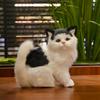 Cute Plush Toy - Orange, Siamese, Persian, Yellow Patch, Black Patch Cats & White Monkey Face