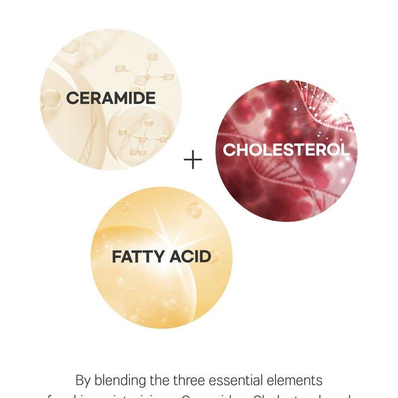 ROUND LAB Soybean Panthenol Ampoule