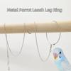Multiple Size Ankle Foot Chain 50cm Pet Bird Leash Chain New Metal Parrot Leg Ring  Bird Supplies