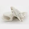 Human Skeleton Model for Lab School Temporal Bone Model Human Ethmoid Bone Anatomy Model Medicals Teaching Tool