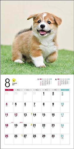Calendar 2024 Corgi galez (Calendarul Seibundo Shinkosha)