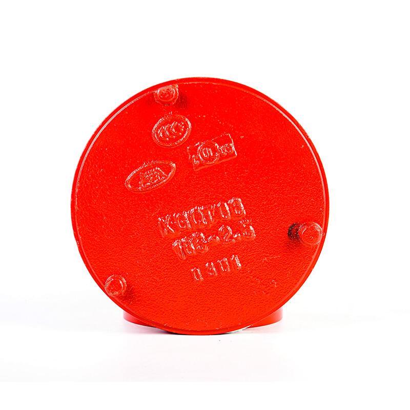 FACEMINI YT-138 Grooved Reducer Fitting