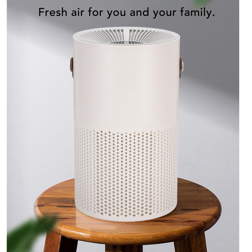 Small Air Purifier Quiet Desktop Air Cleaner Portable Ionic Air Purifier Remove PM2.5 Dust for Home Office Living Room