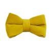 Yellow Velvet Cat Collar With Cute Bell Bow Small Dogs Pet Supplies