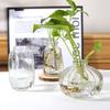 Decorative Flower Bottle Nordic Glass Vase Transparent Bud Vase Designed Hydroponic Plant Pot Living Room Decor Table Ornaments