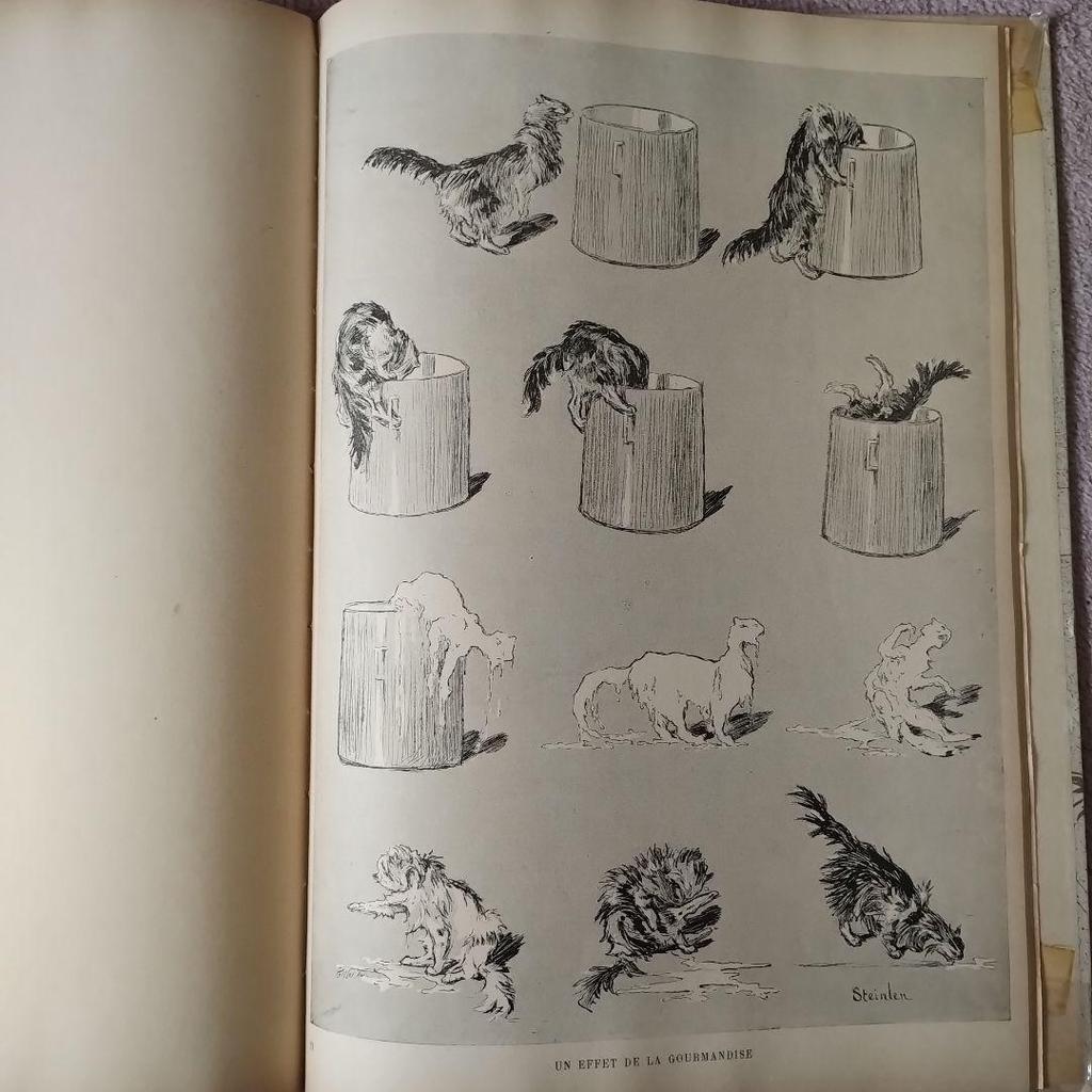 [USED] Des Chats by Steinlen: Steinlen's Cats Print Collection