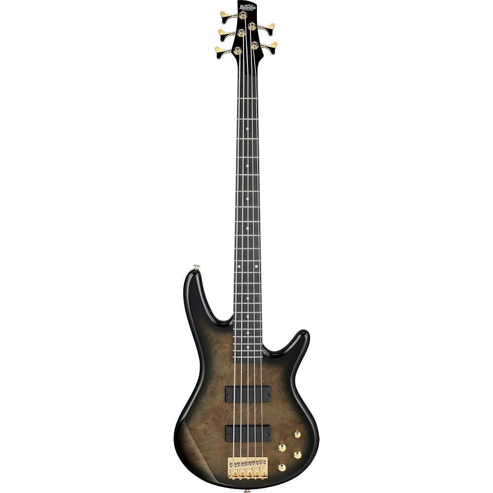 Ibanez GIO Series 5-String Electric Bass Transparent Pale Black Burst GSR205PC-TPB