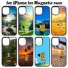 Heißes MEME Chill Guy Handyhülle Magnetisch Kabelloses Laden Für iPhone 16 15 14 13 12 11 Pro Max Plus 17 Air Cover