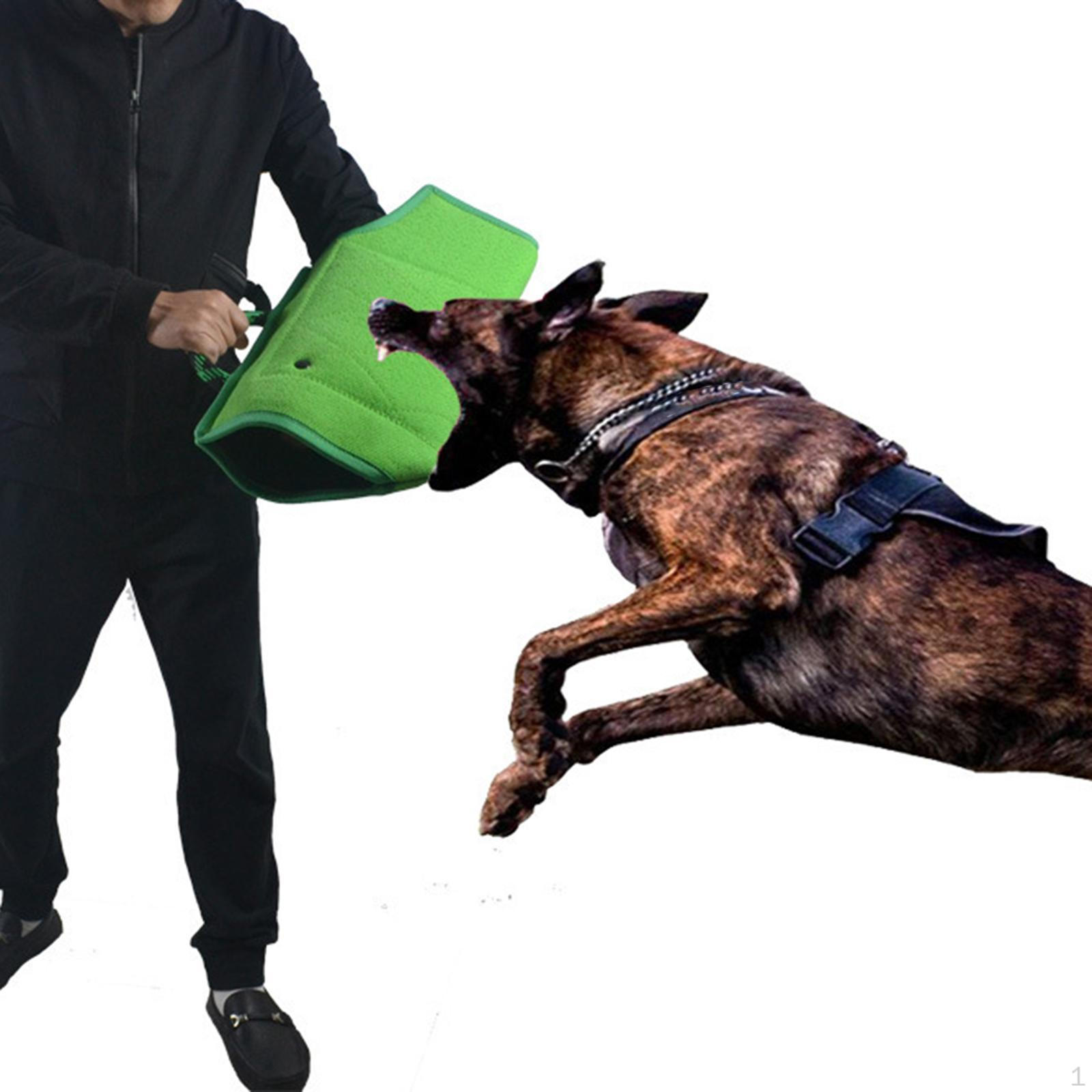 

Dog Bite Sleeve Sturdy Handle Professional Thickened Resistant for Small and Medium Dogs зелений