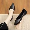 2025 New Black Flat Single Shoes Women's Versatile Office Workers Soft-soled Ladyshoes Career Interview Soft Leather Work Shoes