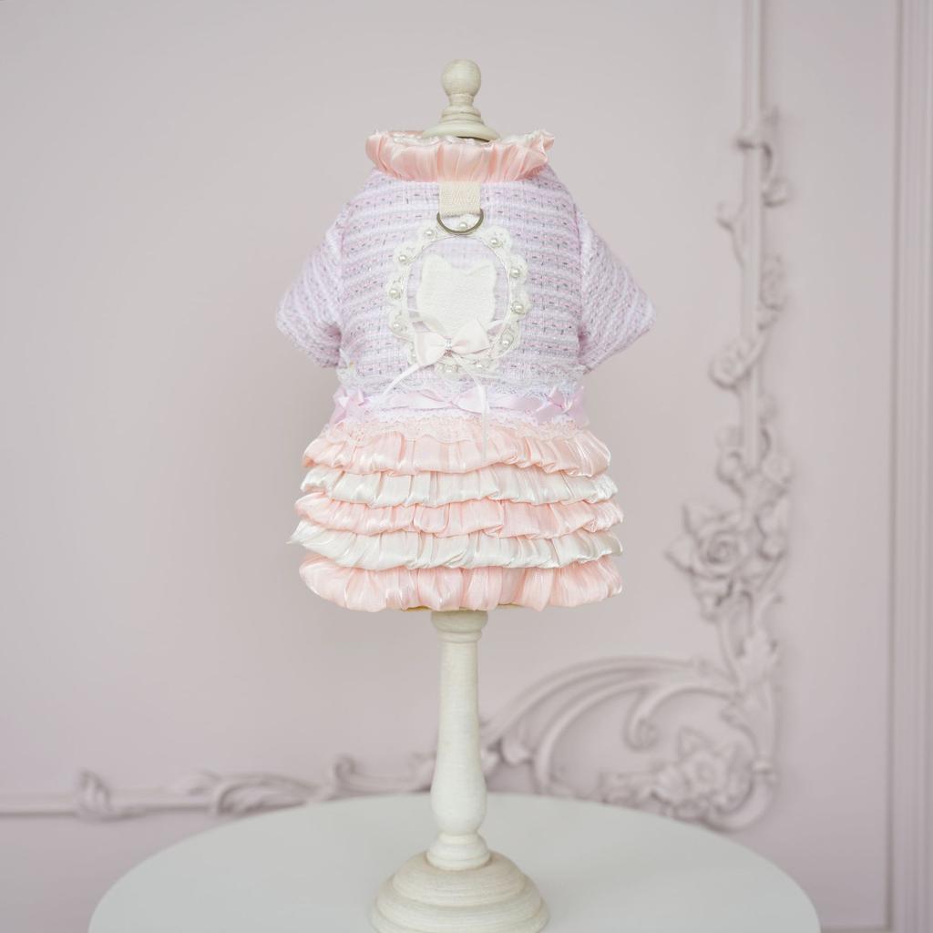 Pet Sweater Jacket Multi-layer Skirt Warm and Cold Proof Winter Clothing Can Be Pulled with Two Legs Clothes Puppy Clothes