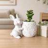 Mini Flowerpot 3D Printed Bunny Hugging Succulents Planter, Cute Rabbit Flower Pot with Embossed Planter Floral Body, Desk Decor for Office