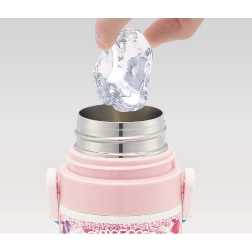 Skater Children's Water Bottle, 2-Way, 470ml (Direct Drinking) or 430ml (Cup Drinking), Disney Princess Design, 24-inch, Girls, Stainless Steel, Insul