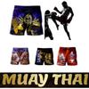Retro Vintage Horror Skull Skeleton Ghost Gothic Boxing Muay Thai Kickboxing Shorts 3D Print Training Unisex Men Women Fitness Gym Sport Workout