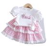 Girls Summer Sweet Princess Outfit 3D Puppy Short Sleeve Top With Pink Plaid Tiered Skirt Two Piece Set